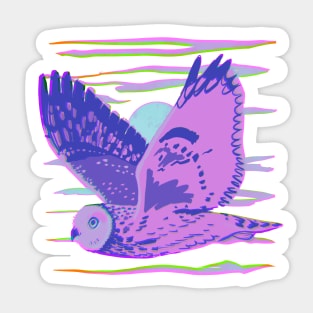 Short-eared Owl Sticker